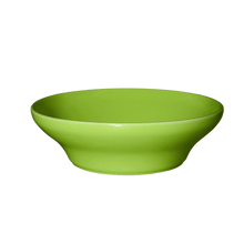 Emile Henry USA Gastron Individual Salad Bowl Gastron Individual Salad Bowl Discontinued Emile Henry USA = Green apple  Product Image 2