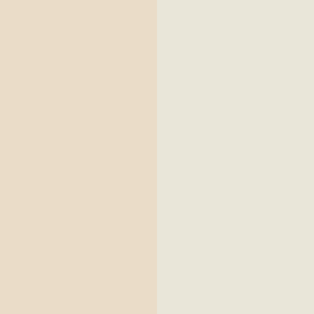 pearl-gray-cream variant for Everyday Dinner Plate- 11