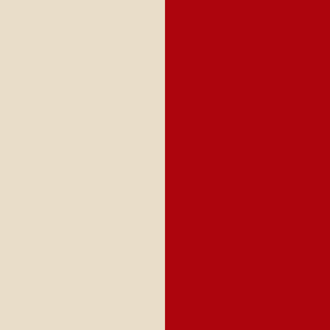 rouge-cream variant for Everyday Dinner Plate- 11